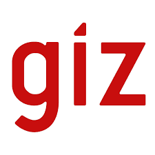 giz Partner Logo